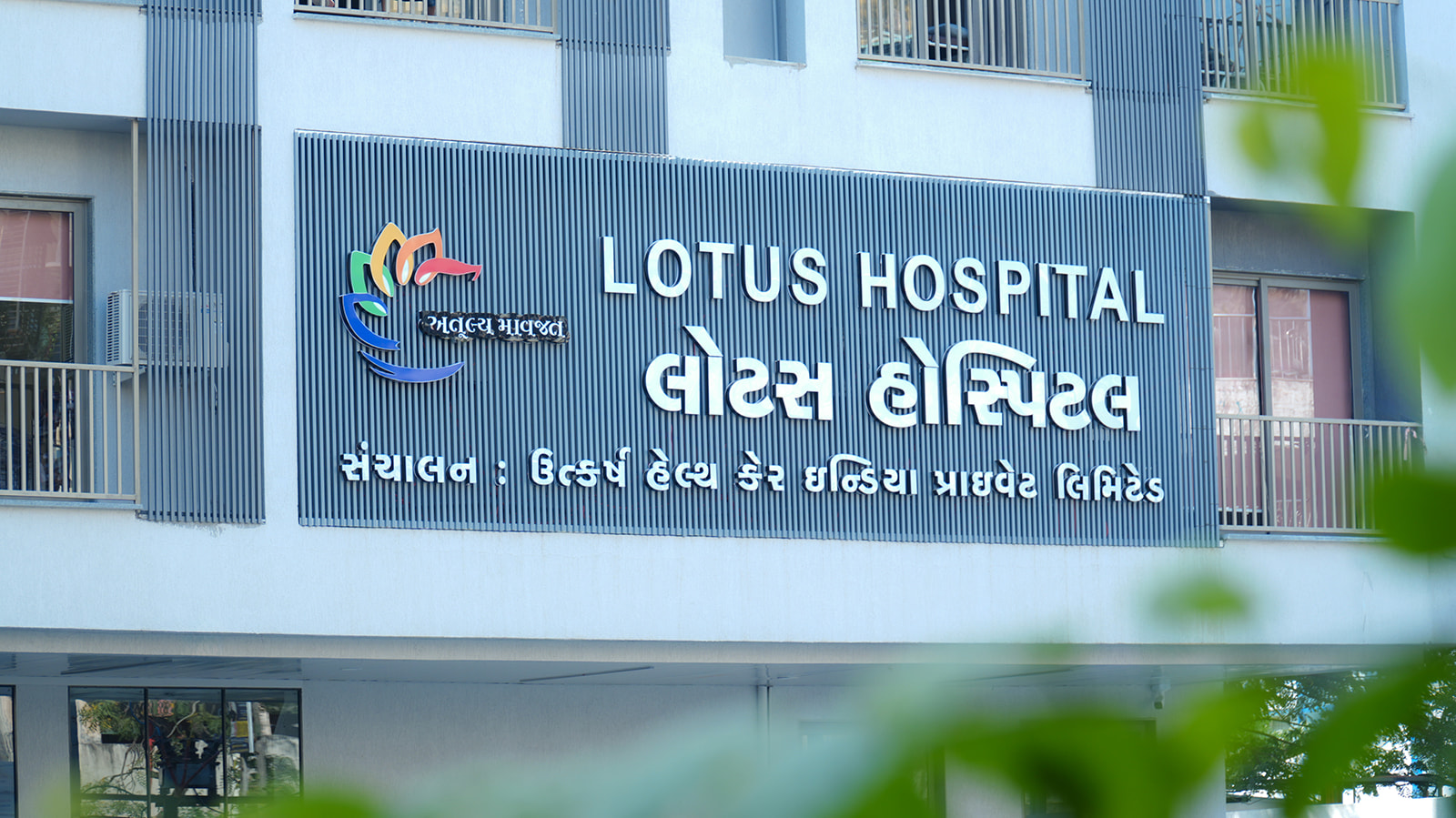 Lotus Hospital